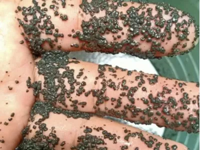 Bactérias Bio-Desodorizantes