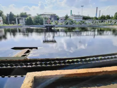 Bactérias de Desintoxicação Biológica