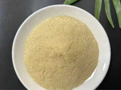 Bactérias para Remoção de Óleo