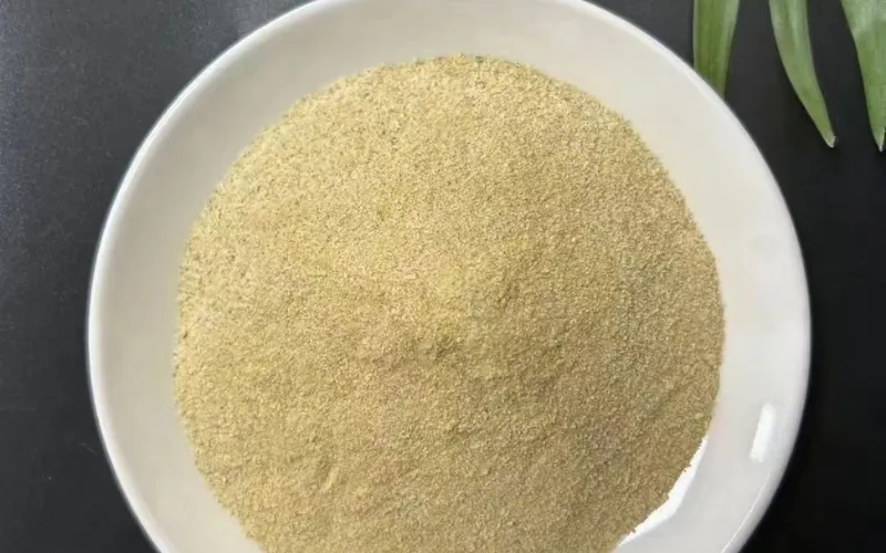 Bactérias para Remoção de Nitrogênio Amoniacal Tolerantes a Sal