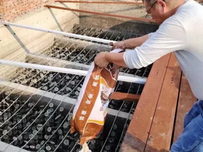 Bactérias para Remoção de Enxofre