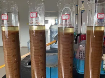 Bactérias para Remoção de Nitrogênio Total