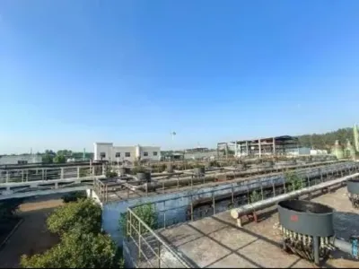 Bactérias para Remoção de Nitrogênio Total