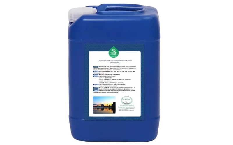 Bactérias para Remoção de Nitrogênio Amoniacal (Autotróficas)