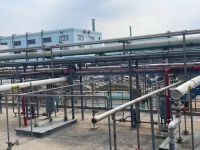 Bactérias para Remoção de Nitrogênio Amoniacal (Autotróficas)