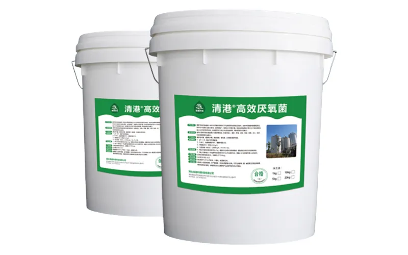 Bactérias Anaeróbicas de Alta Eficiência