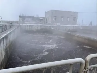 Bactérias Anaeróbicas de Alta Eficiência