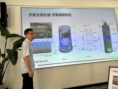 Bactérias para Remoção de Nitrogênio Total Tolerantes a Sal