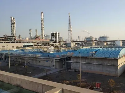 Bactérias para Remoção de Nitrogênio Total Tolerantes a Sal